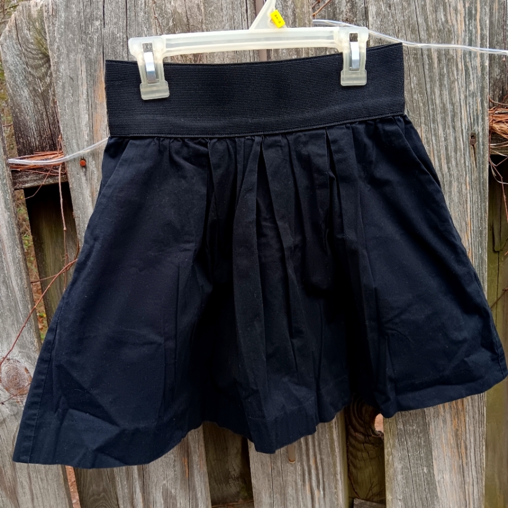 Chic Black Pleated Skirt